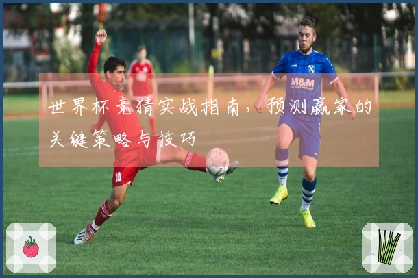 世界杯竞猜实战指南，预测赢家的关键策略与技巧