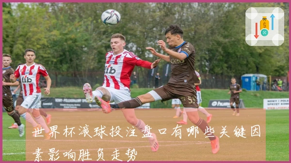 世界杯滚球投注盘口有哪些关键因素影响胜负走势